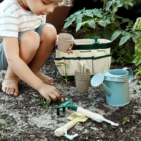 Educational / DIY Garden Kits