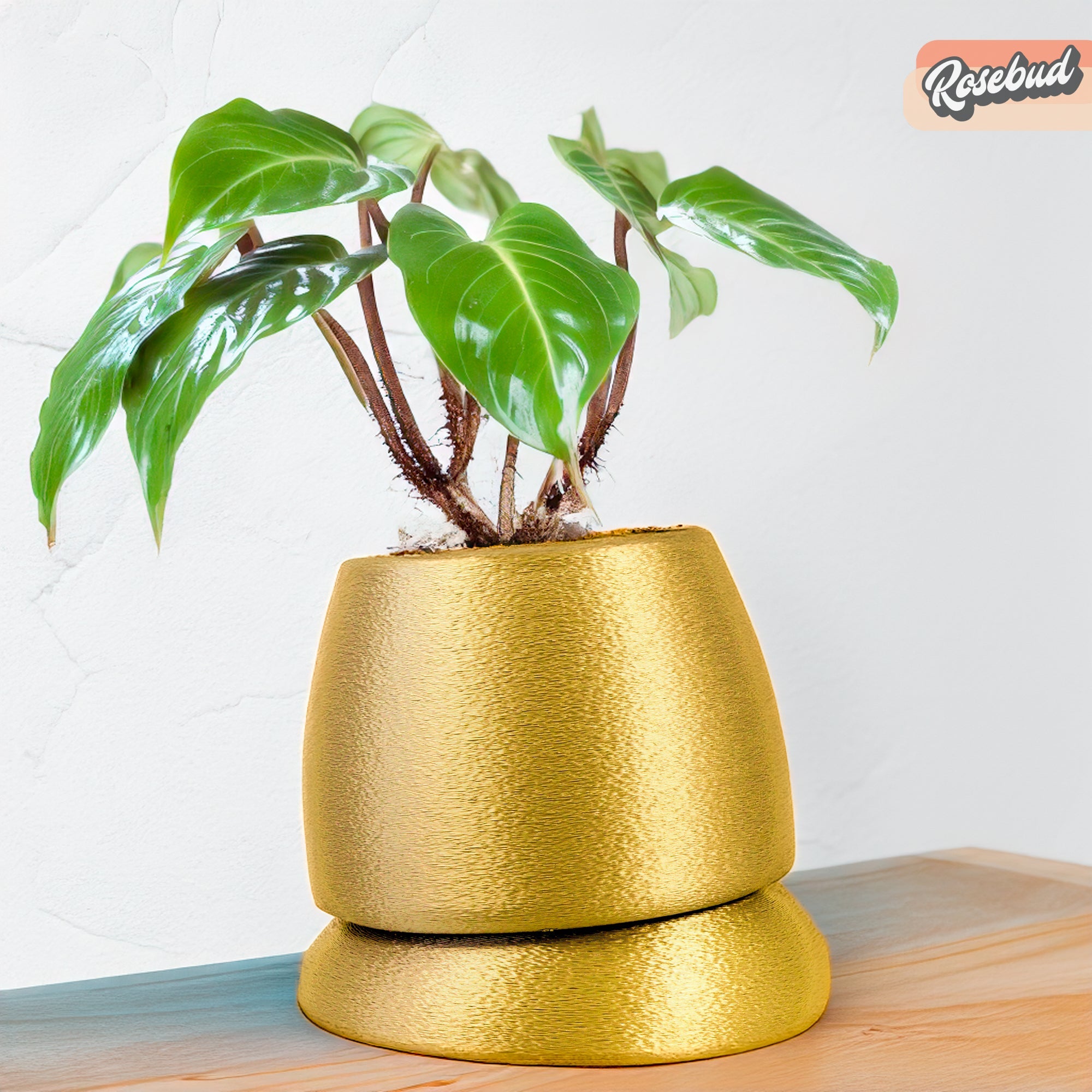 Nubium Planter