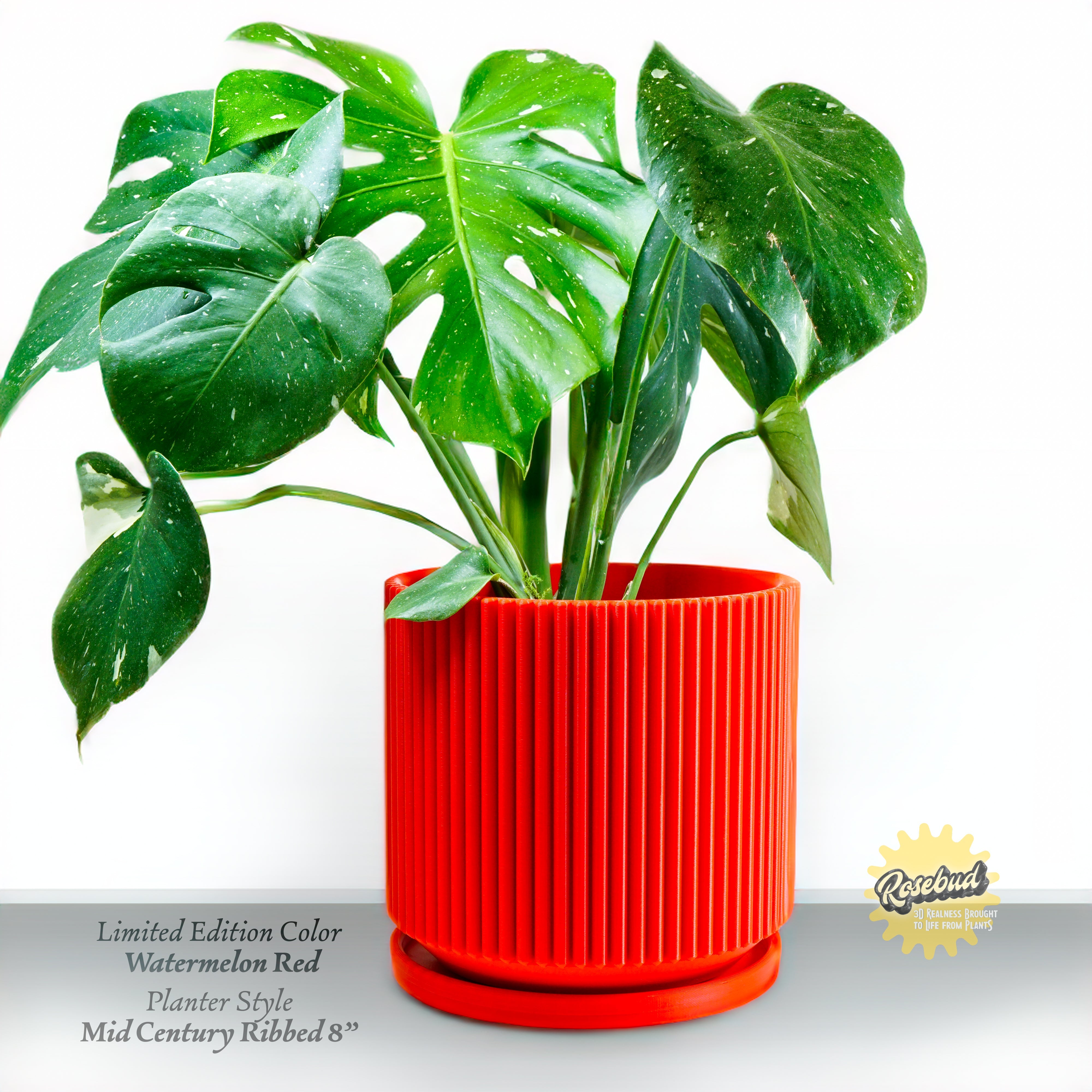 Mid-Century Ribbed Planter